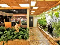 Casa Janaab Palenque فنادق في بالينكي