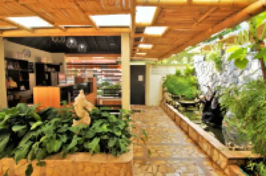 Casa Janaab Palenque Hotels in 