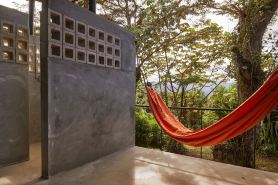 Selva by DW