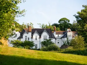 Grove of Narberth
