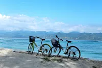 Sea Shell Resort - Beach