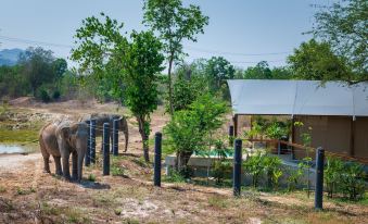 Elephant View Camp
