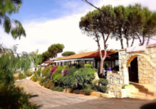 Kalaa Resort Hotels in 