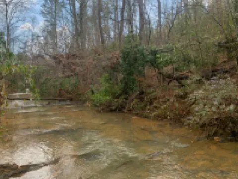 Creekside Deck and Stone Firepit Escape - Charming Rustic Cabin
