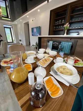 Hotel Axien Kazbegi Отели в г. Степанцминда