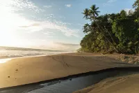 El Remanso Rainforest Lodge - Beach