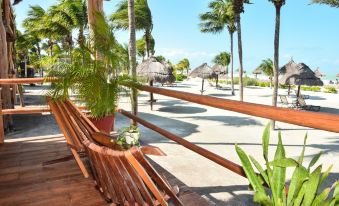 Blue Holbox Beach Front