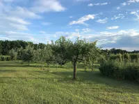 拉比安德里納農莊飯店