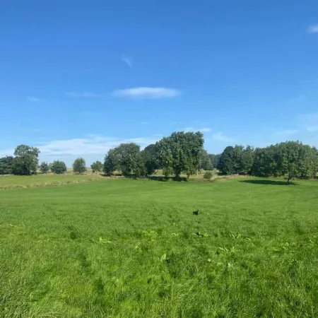Cosy Apartment above Village Pub