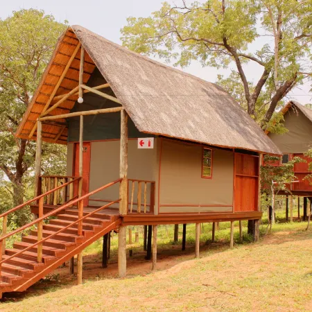 Lion Roars Lodge