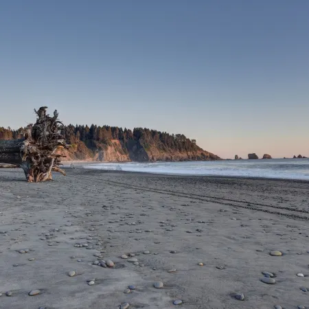 Quileute Oceanside Resort