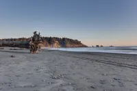 Quileute Oceanside Resort - Beach