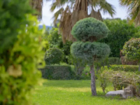 奧基斯優雅小別墅酒店 米蒂利尼酒店