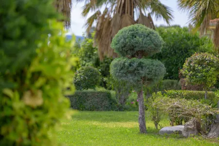 Oikies Small Elegant Houses