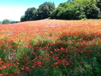 San Filippo Hotels in Acquapendente