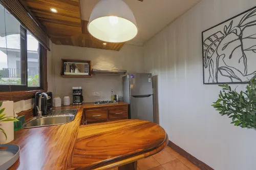 Arenal Homes la Fortuna - Apartments