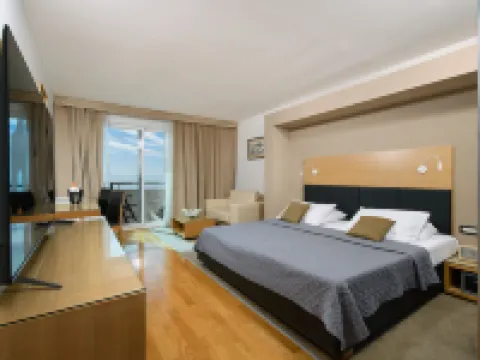 Hotel San Antonio Hotels in Podstrana