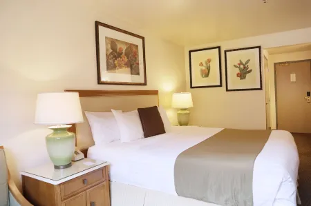 Cities of Gold Casino Отели рядом с достопримечательностью «Ред Дот Трейл трейлхед»