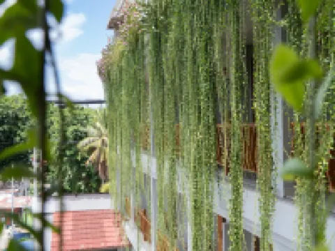 コモド ロッジ コモドのホテル