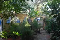 Hostal Nicaragua Guest House Hotels in 