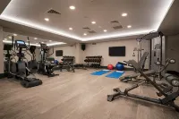 Radisson Blu Hotel Ankara Cankaya - Gym