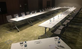 Hilton Garden Inn Eskisehir