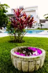 XscapeTulum - สระว่ายน้ำส่วนตัว
