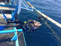 Bentrina Diving Resort Hotels in Mabini