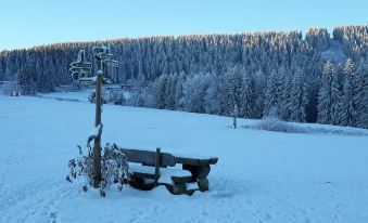 Apartments Und Bistro Zum Glasmacher