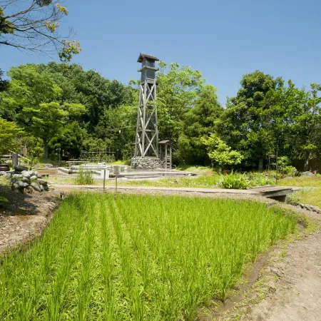 Tagawa Ryusenkaku