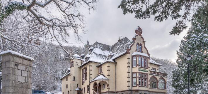 Hotel Erbprinzenpalais Hotels in Wernigerode