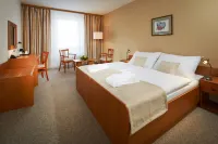 Spa Hotel Devin - Bares