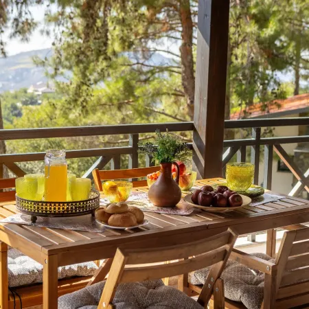 Platres Forest View Cottage