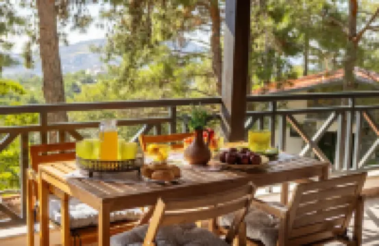 普拉特雷斯森林景別墅