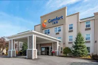 Comfort Inn Civic Center Hotels near Lithgow Public Library
