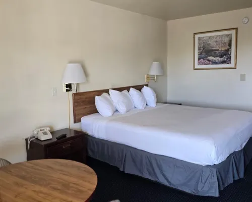 Terrace Inn and Suites Hotels in Contra Costa County