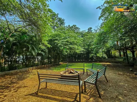 Dandeli boutique Jungle Resort Отели в г. Дандели