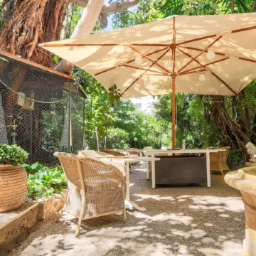 Le Windsor, Jungle Art Hotel