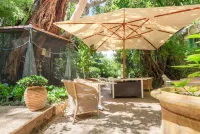 Le Windsor, Jungle Art Hotel