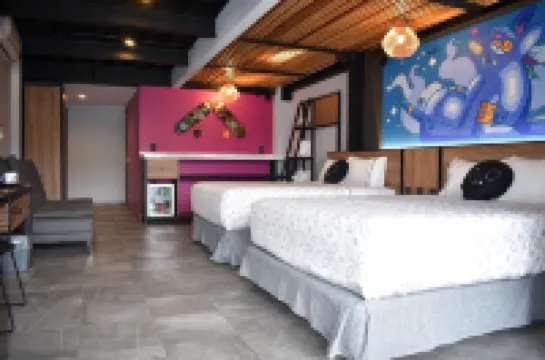 Barrio Downtown Mexico City Hostel