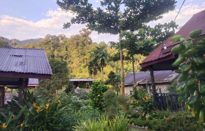 Mountain View Cottages & Villa Tangkahan