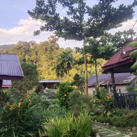 Mountain View Cottages & Villa Tangkahan