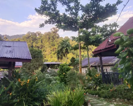 Mountain View Cottages & Villa Tangkahan Hotels in Langkat Regency