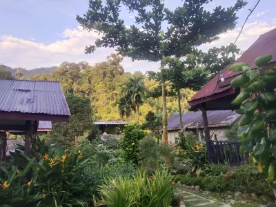 Mountain View Cottages & Villa Tangkahan Hôtels à : Bukit Lawang