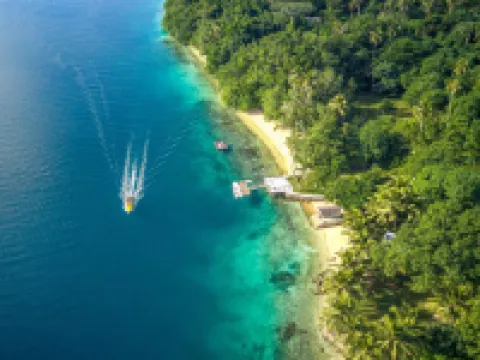 Freshwater Plantation Farm Stay