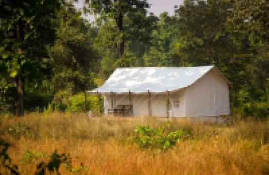 Umaria Safari Camp -Kanha National Park