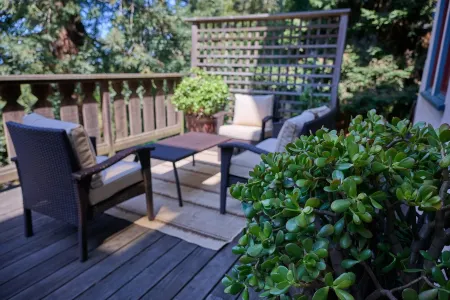 Peaceful Berkeley Hills Studio - Bay View + Private Deck + Prime Location
