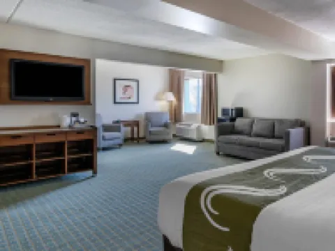 Quality Inn Lexington -Horse Park Hotels in Lexington