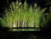 LE SCUDERIE: Villa with private pool and garden Hotels in Pontassieve