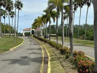 Surfer's Tropical Paradise Hotels in Aguada